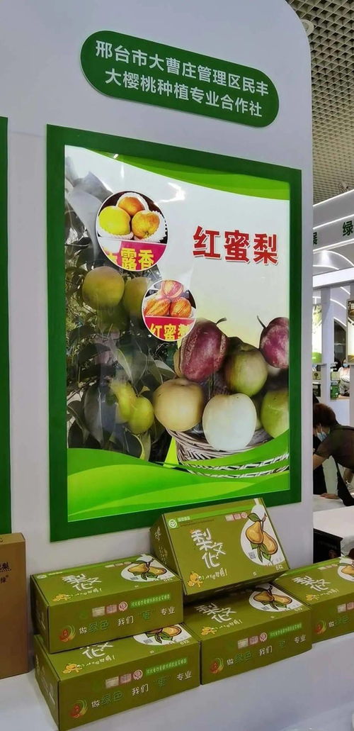 寧晉綠色農(nóng)產(chǎn)品在廈門綠博會廣受歡迎，水產(chǎn)品零售表現(xiàn)搶眼